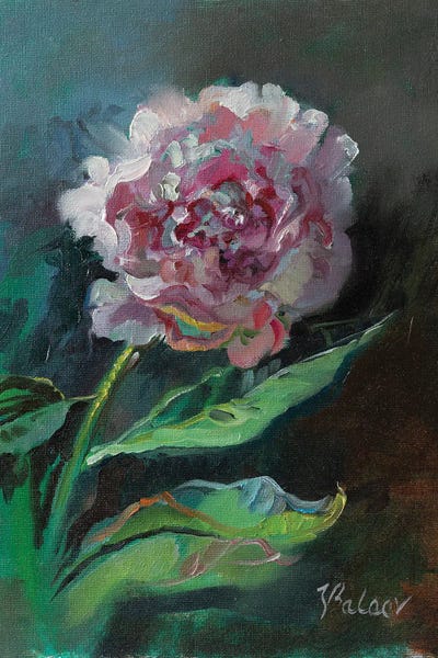 Peonies: Pink Peony Flower by Katharina Valeeva