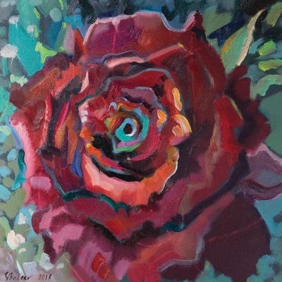 Red Rose by Katharina Valeeva art print