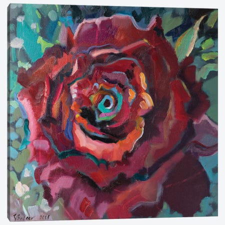 Red Rose Canvas Print #KTV82} by Katharina Valeeva Canvas Wall Art