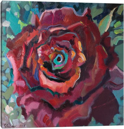 Red Rose Canvas Art Print - Katharina Valeeva