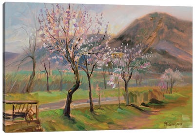 Spring In Edenkoben Canvas Art Print - Katharina Valeeva