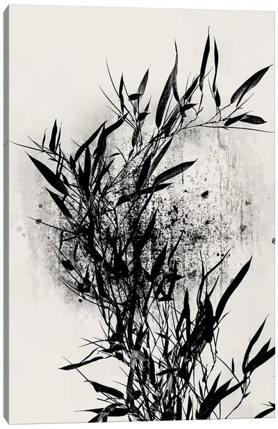 Black Orchidee Canvas Art Print - Kubistika