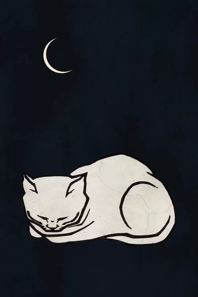 Cozy Dreams by Kubistika framed canvas print