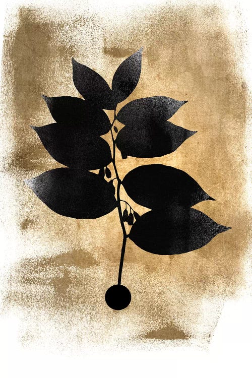 Dark Plant