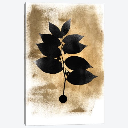 Dark Plant Canvas Print #KUB147} by Kubistika Canvas Art Print