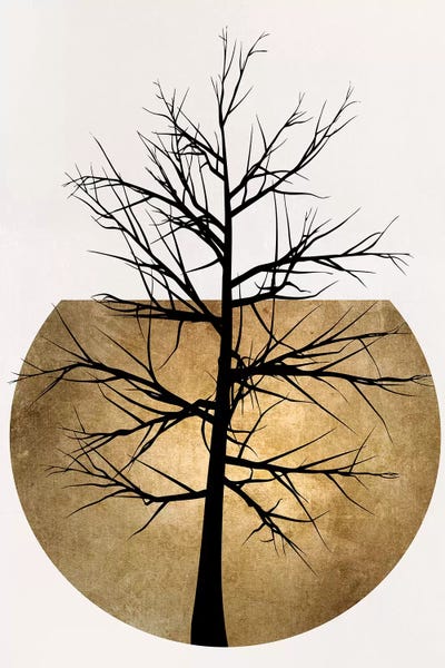 In The Wild - Gold by Kubistika canvas print