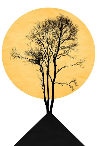 Japanese Zen Garden by Kubistika framed canvas print