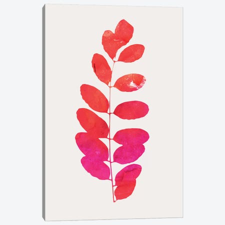Leaf Print - Pink Canvas Print #KUB183} by Kubistika Canvas Artwork