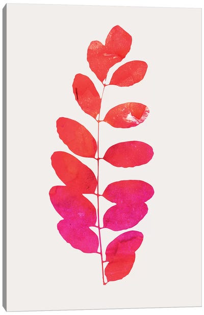 Leaf Print - Pink Canvas Art Print - Kubistika