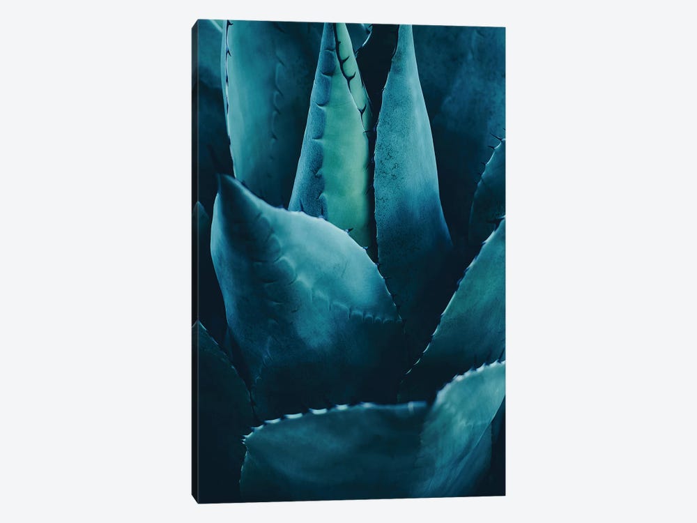 Cactus No 4 by Kubistika 1-piece Canvas Artwork