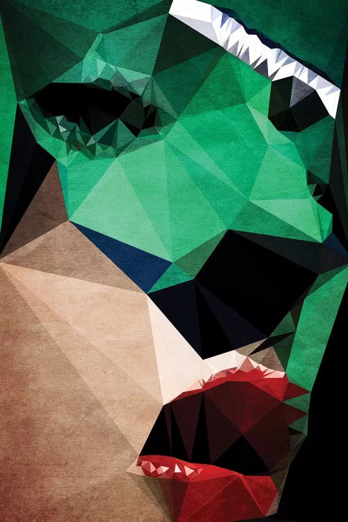 A Darkroom Hero by Kubistika wall art