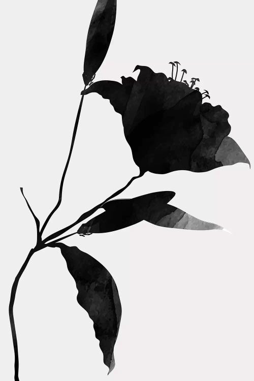 Nero by Kubistika wall art