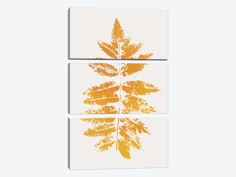 Oak Leaf Print - Yellow by Kubistika 3-piece Canvas Art