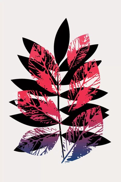 Planta Magica by Kubistika framed canvas print