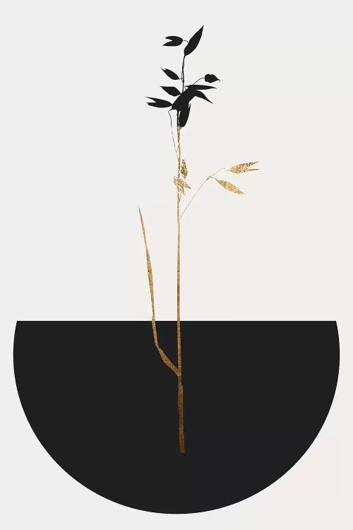 Planta Negra by Kubistika wall art