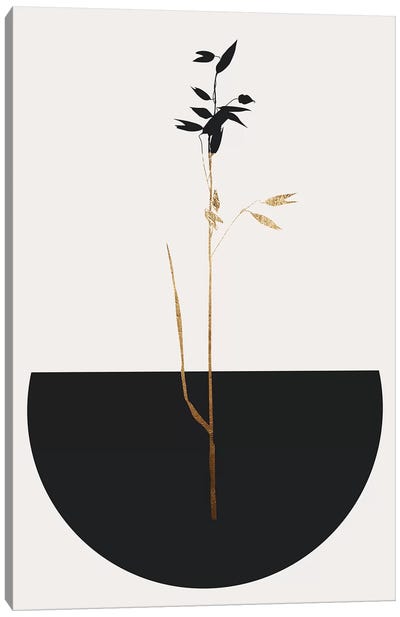 Planta Negra Canvas Art Print - Kubistika