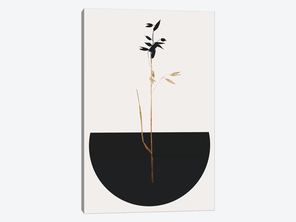 Planta Negra by Kubistika 1-piece Canvas Print