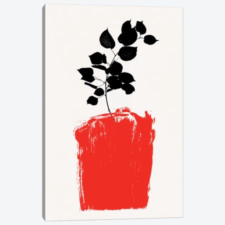 Scabiosa - Red Canvas Print #KUB217} by Kubistika Canvas Print