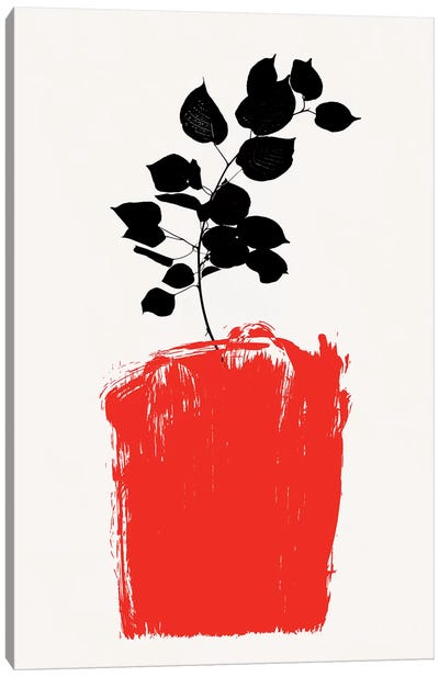 Scabiosa - Red Canvas Art Print - Kubistika