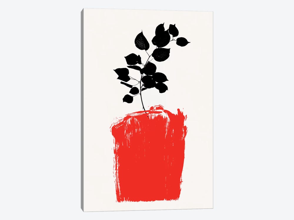 Scabiosa - Red by Kubistika 1-piece Canvas Art