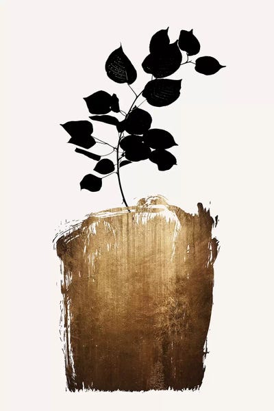 Scabiosa -Gold by Kubistika framed canvas print