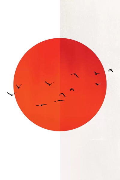 The Seventies: Seagulls Of The Sun by Kubistika