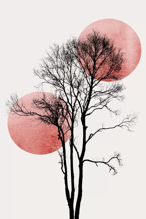 Sun And Moon Hiding-Rosè by Kubistika wall art