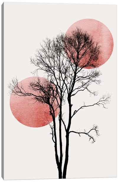 Sun And Moon Hiding-Rosè Canvas Art Print - Kubistika