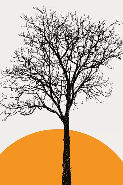 The Birch by Kubistika framed canvas print