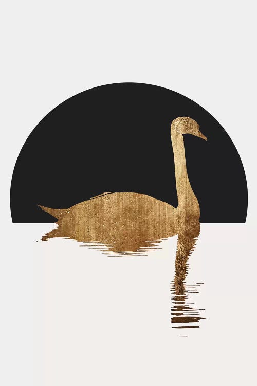 The Swan - Black