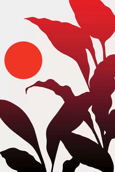 Tropical Sunset by Kubistika metal wall art