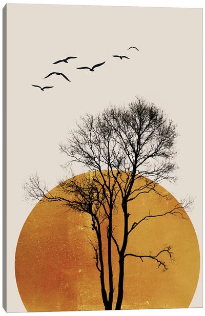 Winter Sunrise - Dark Canvas Art Print - Sun Art