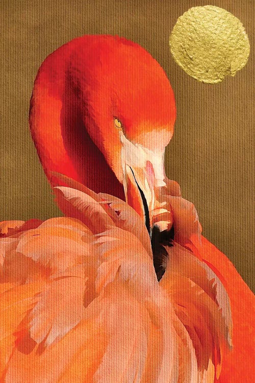 Flamingo With Golden Sun