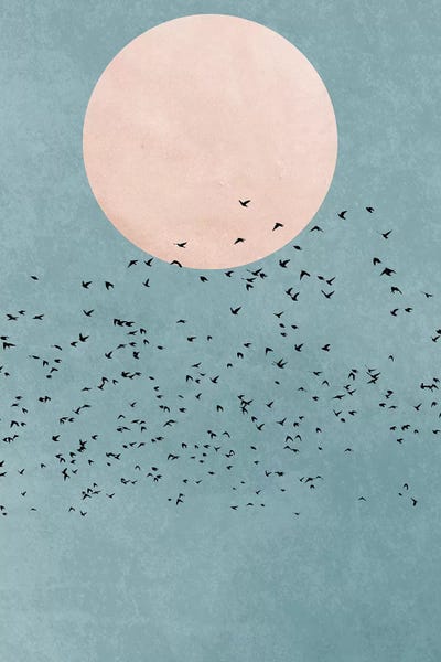 Fly Away by Kubistika framed canvas print