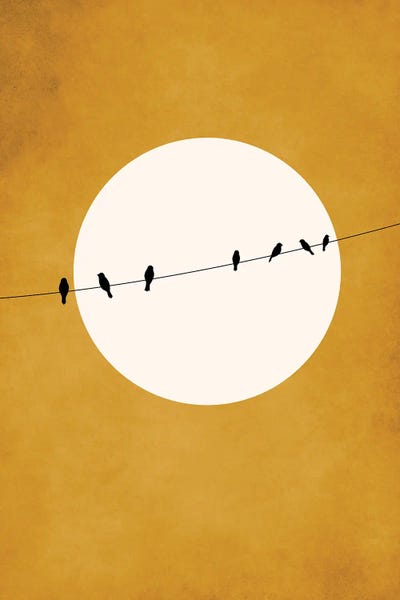 Chirping And Chilling At Night by Kubistika art print