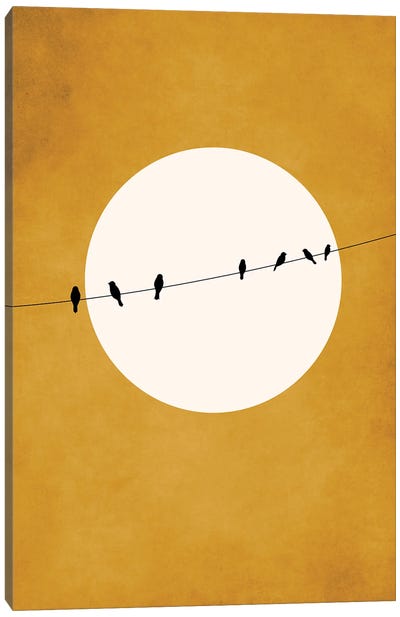 Chirping And Chilling At Night Canvas Art Print - Birds On A Wire