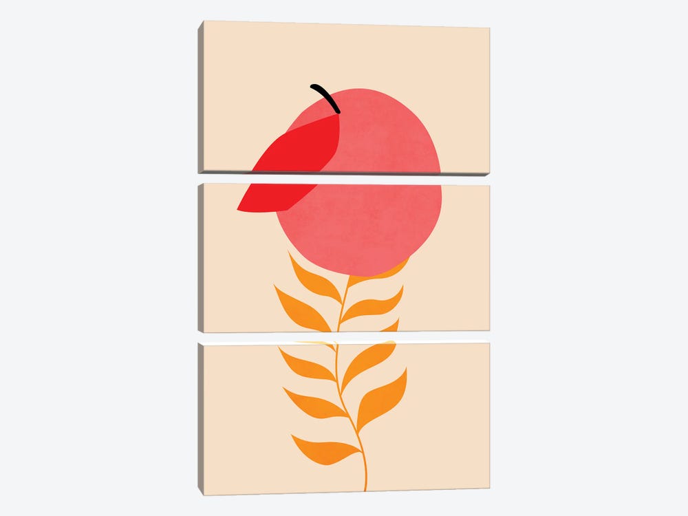 Little Peach by Kubistika 3-piece Canvas Art Print