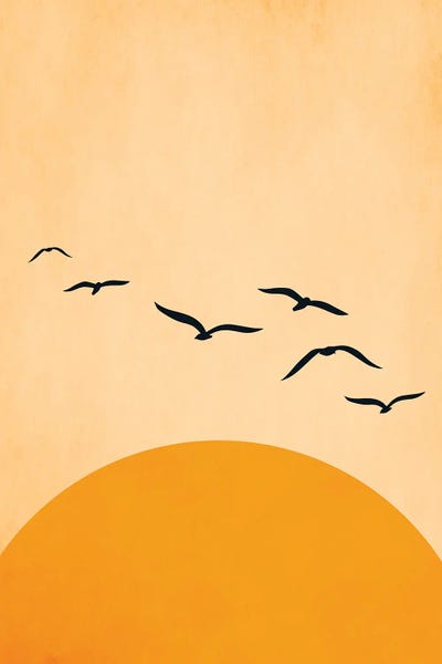 One Day We`ll Fly Away