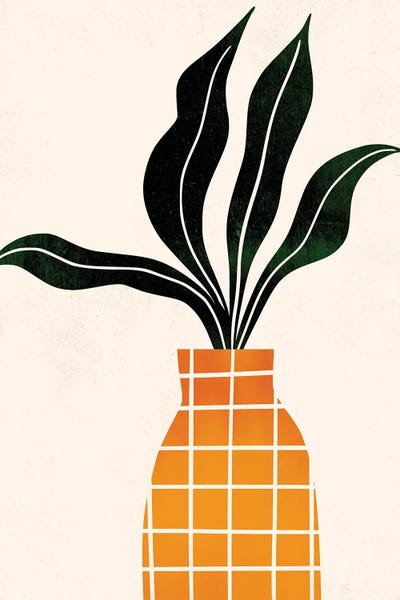 Peter, The Plant by Kubistika canvas print