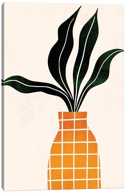 Peter, The Plant Canvas Art Print - Kubistika