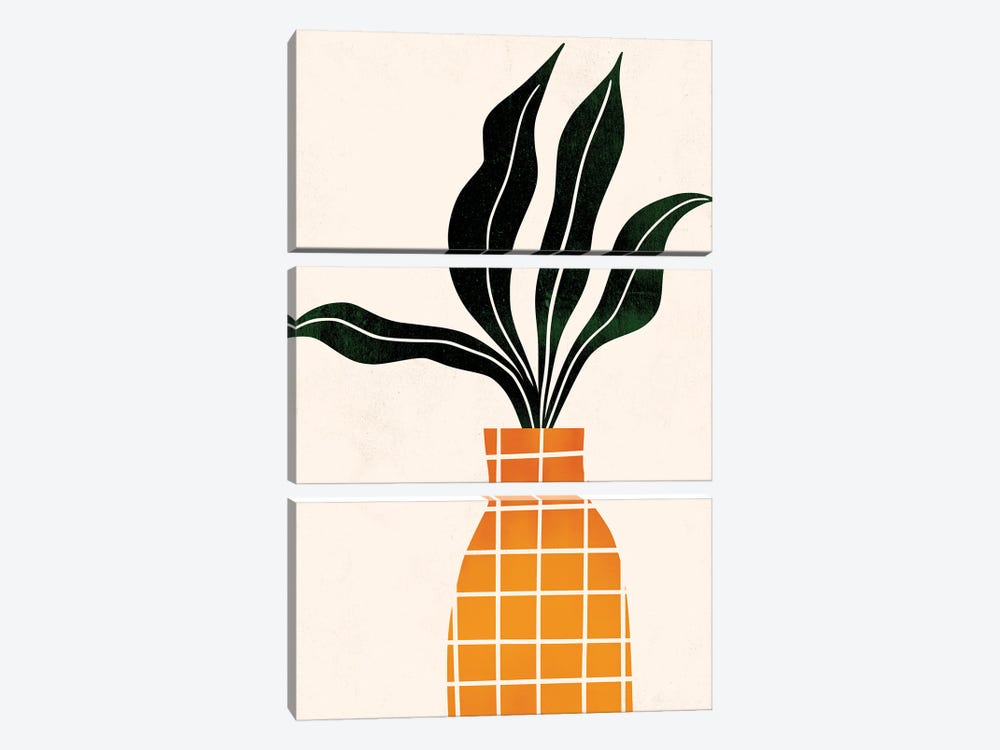 Peter, The Plant by Kubistika 3-piece Art Print