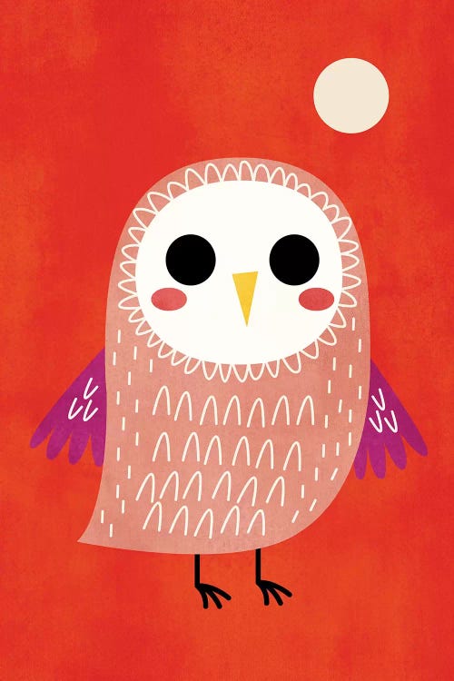 Little Owl