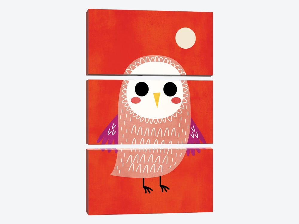 Little Owl by Kubistika 3-piece Canvas Wall Art