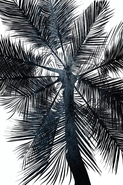 Miami Beach by Kubistika wall art