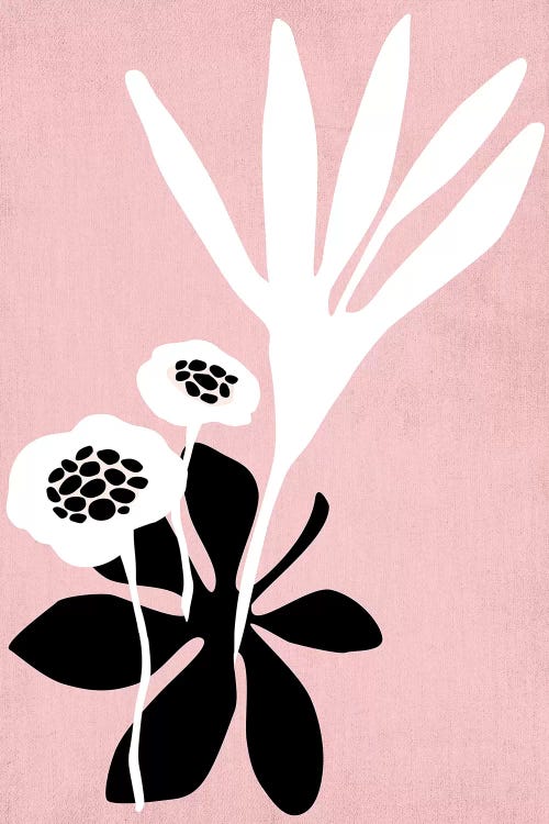 Pink Blossom