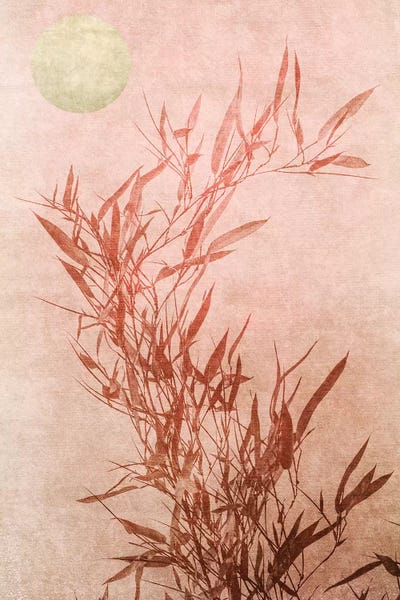 Sentimental Touch by Kubistika framed canvas print