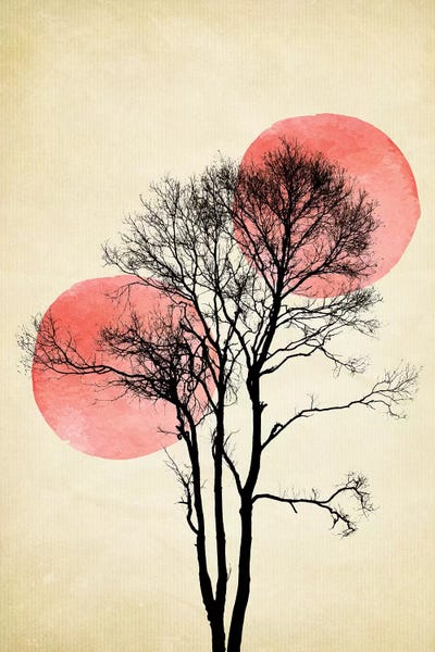 Sun And Moon Hiding by Kubistika framed canvas print