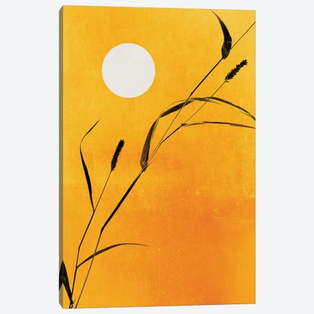 Sunny Side Canvas Print #KUB67} by Kubistika Canvas Art