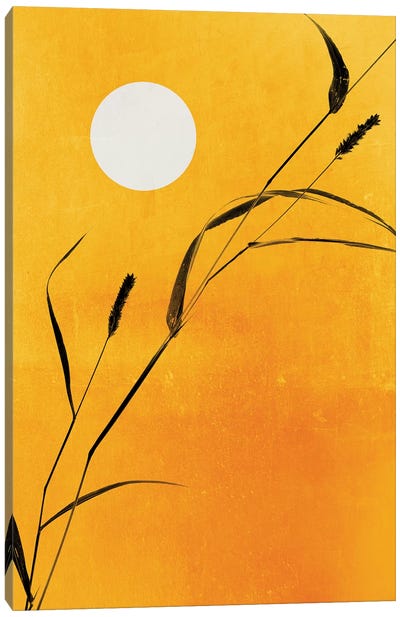 Sunny Side Canvas Art Print - Mellow Yellow