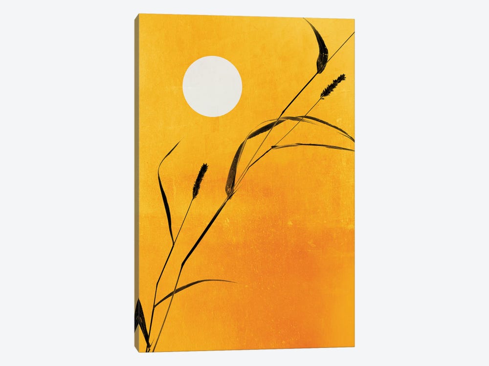Sunny Side by Kubistika 1-piece Canvas Artwork